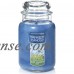 Yankee Candle Large 2-Wick Tumbler Candle, Blue Summer Sky   567211640